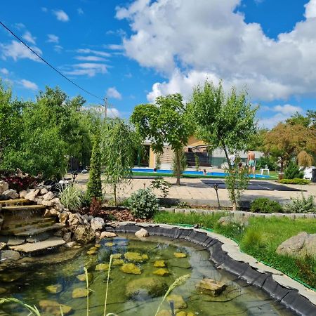 Casa Elis Piscina, Jacuzzy , Sauna, Ciubar Merei Екстериор снимка