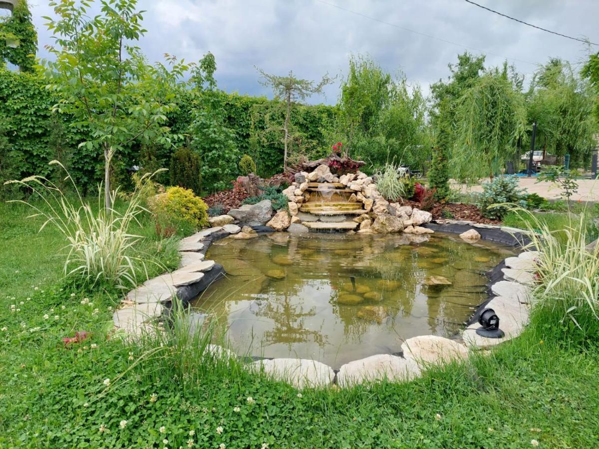 Casa Elis Piscina, Jacuzzy , Sauna, Ciubar Merei Екстериор снимка