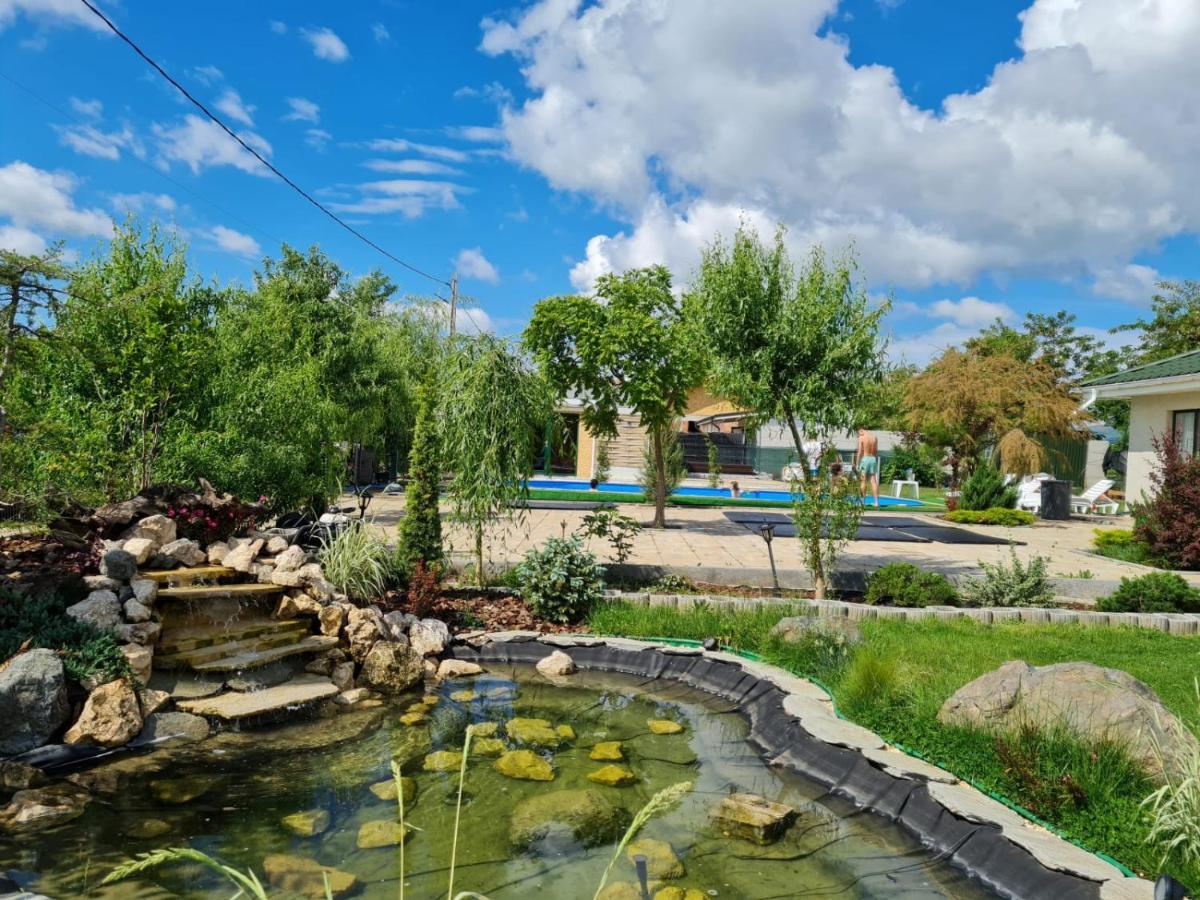 Casa Elis Piscina, Jacuzzy , Sauna, Ciubar Merei Екстериор снимка