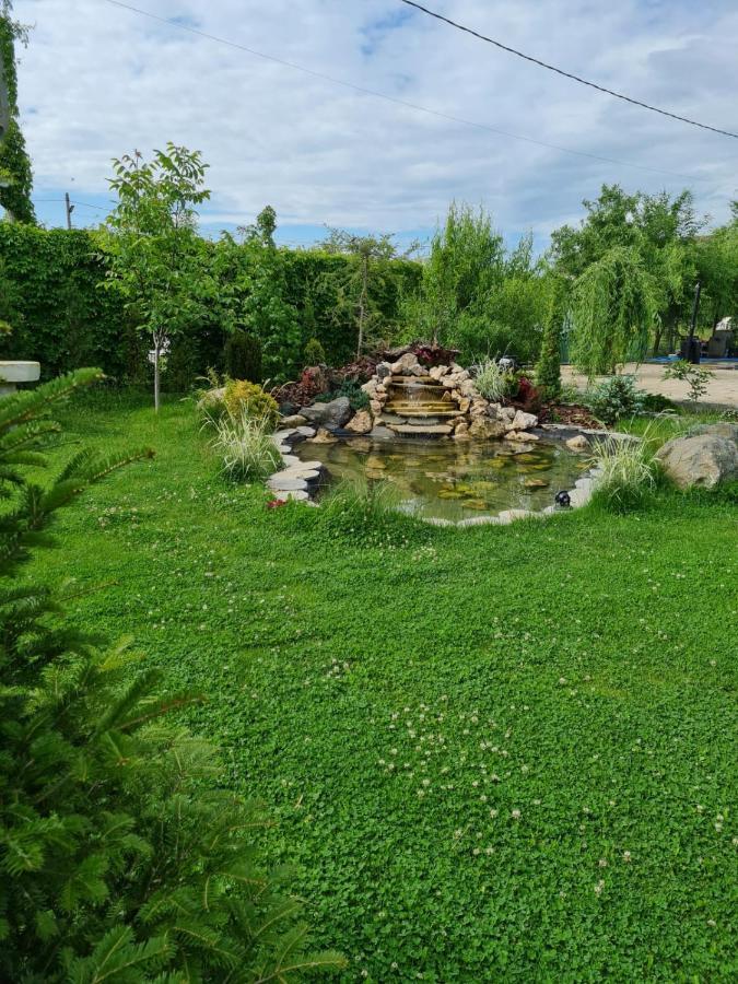 Casa Elis Piscina, Jacuzzy , Sauna, Ciubar Merei Екстериор снимка