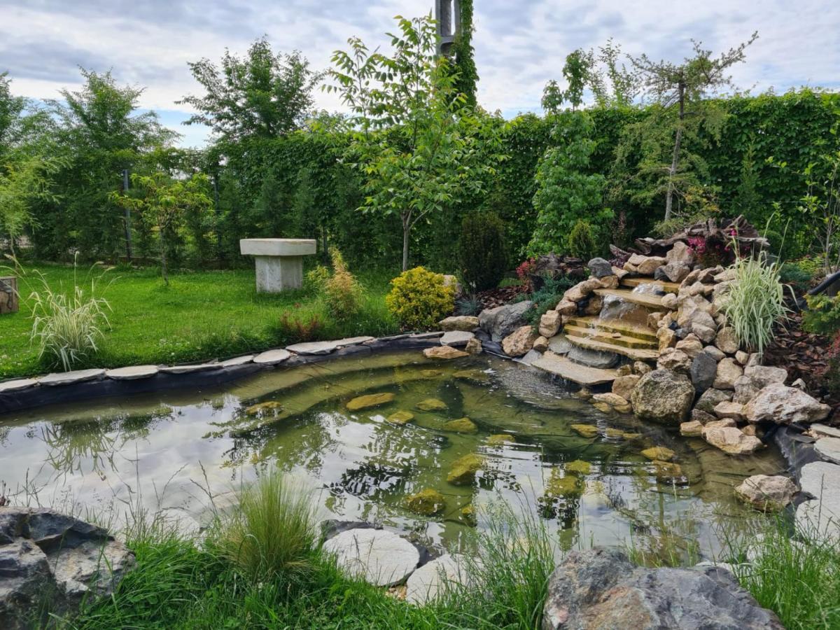 Casa Elis Piscina, Jacuzzy , Sauna, Ciubar Merei Екстериор снимка