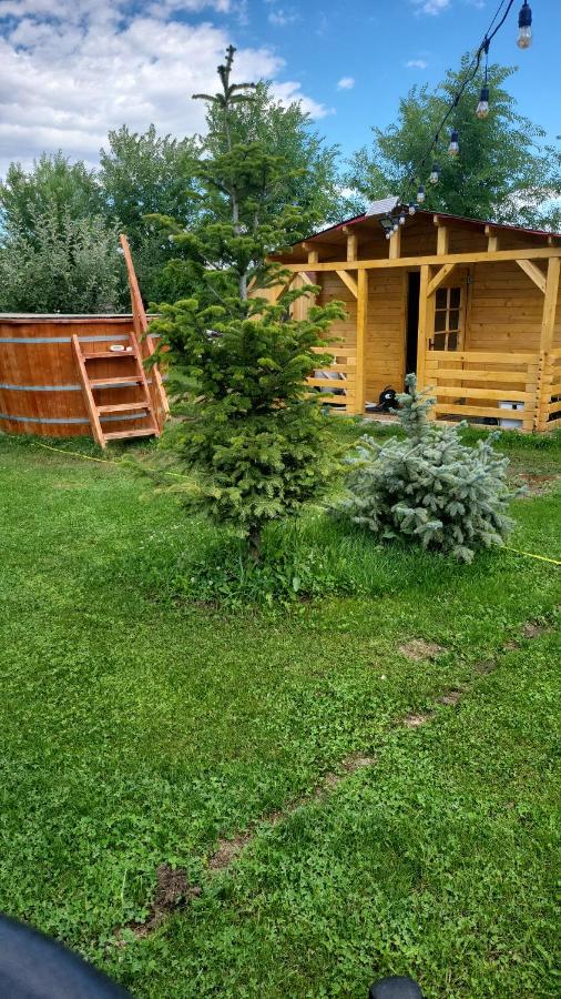 Casa Elis Piscina, Jacuzzy , Sauna, Ciubar Merei Екстериор снимка