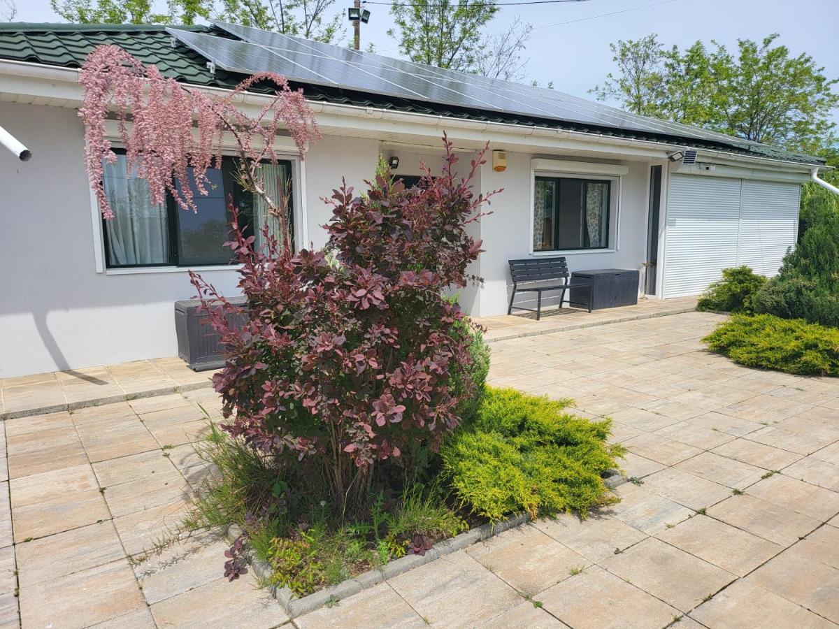 Casa Elis Piscina, Jacuzzy , Sauna, Ciubar Merei Екстериор снимка