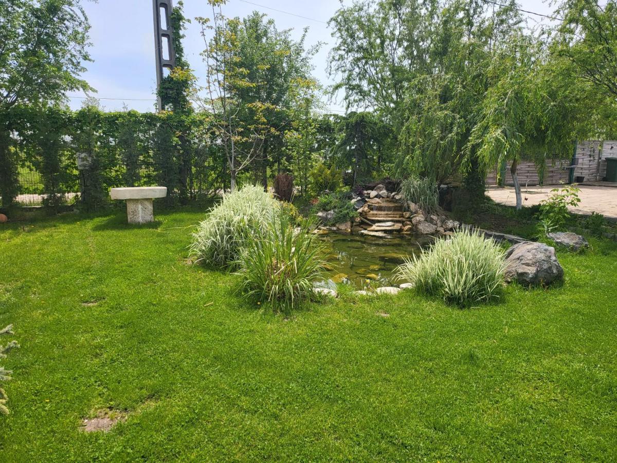 Casa Elis Piscina, Jacuzzy , Sauna, Ciubar Merei Екстериор снимка